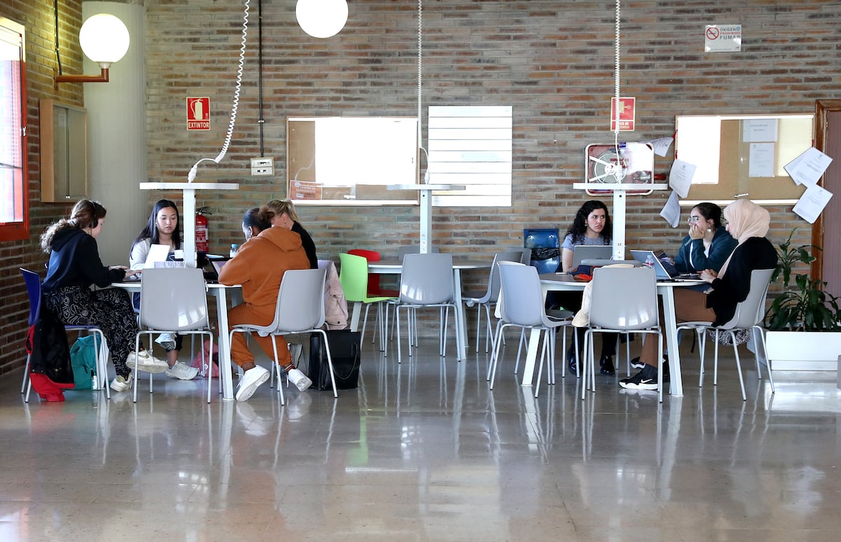 Muchos universitarios no han vuelto a las aulas tras la pandemia y baja su rendimiento: “Hay alumnos encapsulados” | Educación