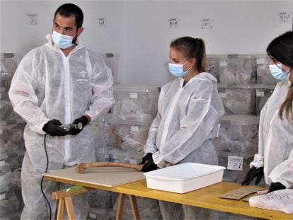 Técnicos de la Sociedad Científica Aranzadi se preparan para tomar muestras óseas de ADN de restos de represaliados de la fosa de Pico Reja, en Sevilla. / SOCIEDAD CIENTÍFICA ARANZADI