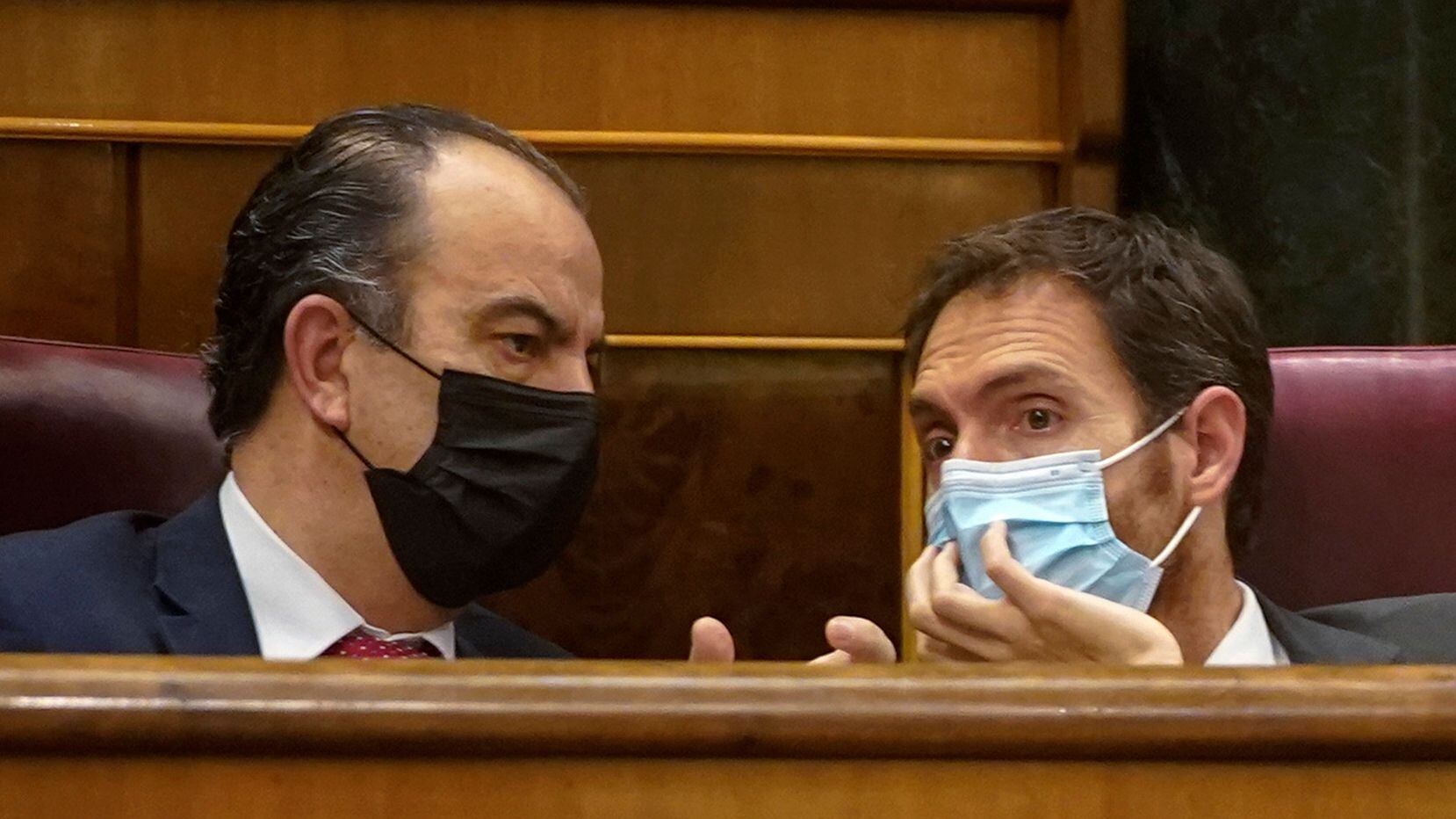 Los dos diputados de UPN, Sergio Sayas y Carlos García Adanero, en el Congreso.