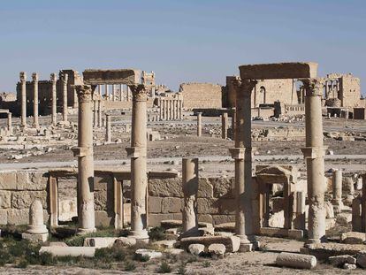 Vista de Palmira tras su liberación.