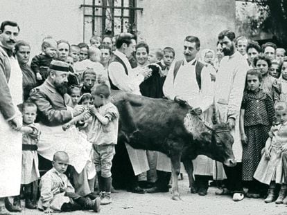 Inoculación de pus de vaca en el Hospital de Niños Pobres de Barcelona, hacia 1890.