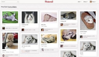 Los gatitos tambi&eacute;n invaden Pinterest