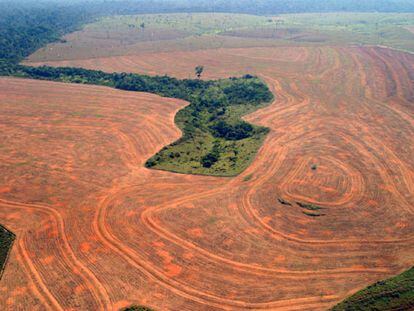 Fotografía aérea, realizada en septiembre de 2004, de bosques roturados en Novo Progreso, Para (Brasil), para plantar soja.