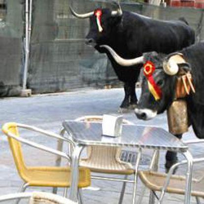 Más de un millar de cabezas de ganado han recorrido las calles del centro de Madrid por la Fiesta de la Trashumancia.