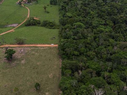 Territorio indígena de los Surui, en el Estado de Rondonia, en la Amazonia.