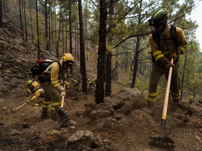 Personal del operativo Brifor realiza labores de perimetrado de puntos calientes en la zona de El Lagar, en el municipio de La Guancha, en el incendio que afecta desde el jueves a Tenerife.
