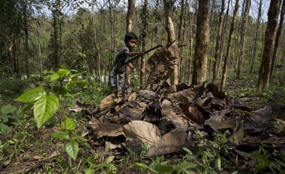 Una niña india recoge en el bosque hojas secas, que le servirán a su madre para encender el fuego con el que cocinar.
