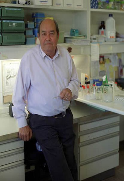 El padre de la moderna biología del deserrollo en España se jubila, a sus 70 años, del Centro de Biología Molecular.