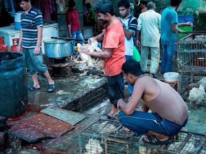 Un mercado de animales vivos en India.