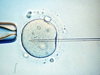 Pruebas en el laboratorio de Inescop. 