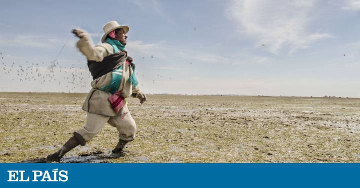 Espalda y Cuello - Tierra Mojada