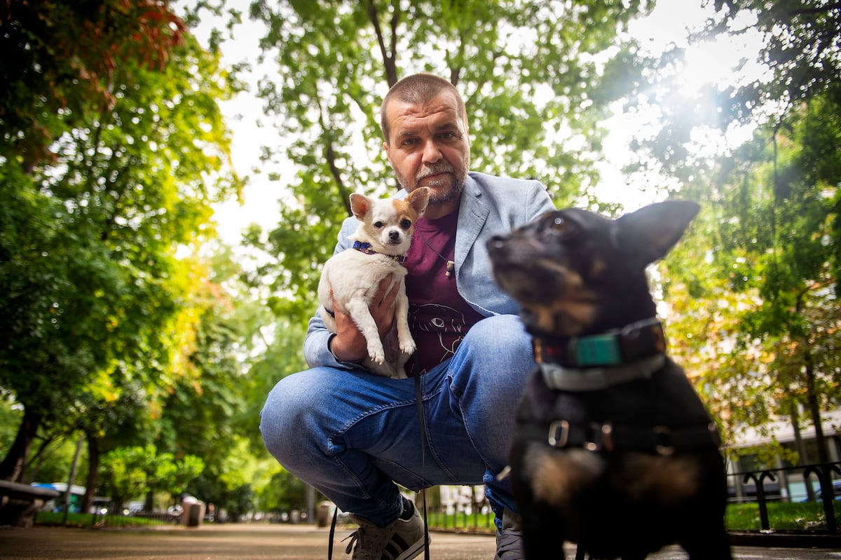 The promoter of the animal welfare law "The rule will come out with all dogs included