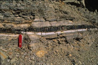 Corte geológico en el que se aprecia la acumulación de material expulsado durante el impacto del asteroide de Chicxulub, que contiene altos niveles de iridio y cuarzo (capa blanca), y los escombros y hollín (capa oscura)