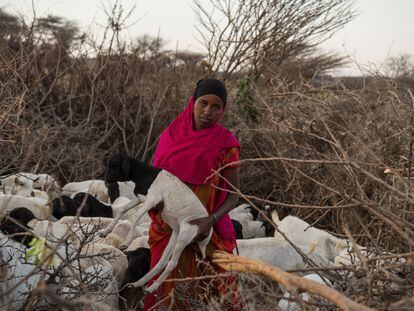 Una joven de una familia de pastores en Somalia desplazada por la sequía.