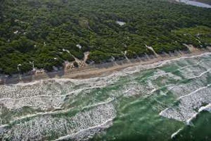 Vista aérea de la playa de Es Comú, en Muro (Mallorca).