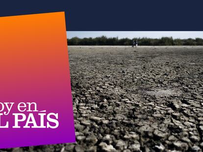 ‘Podcast’ | El precio de destruir el medio ambiente: ¿hay esperanza para Doñana?
