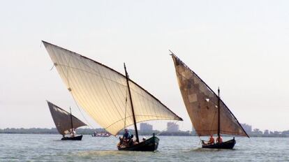 Tres barcas con aparejo de vela latina en el lago de l'Albufera.