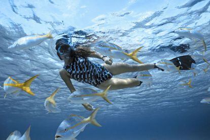 Ambergris Caye es la mayor isla de Belice y la base perfecta desde la que explorar sus 300 kilómetros de coral, integrados en el sistema de arrecifes mesoamericano, que abarca más de 1.000 kilómetros desde la mexicana península de Yucatán hasta las islas de Bahía, en Honduras.
