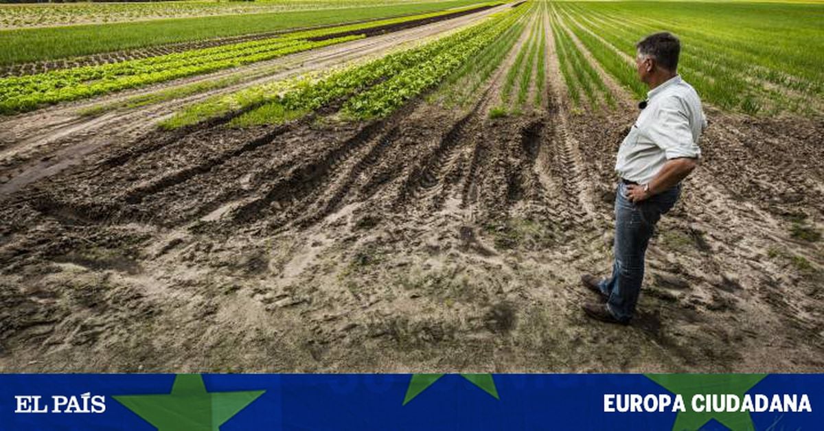 Farming practices. Intensive Agriculture. Свеня Хансен агрокультура. Organic Agriculture. Intensive Farming is.