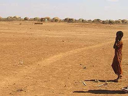 Paisaje de la región de Denan, en Etiopía, uno de los países africanos afectado por la sequía.