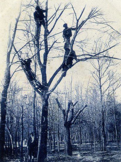 Fotografía del libro Tarjetas Postales Ilustradas en Madrid 1887-1905.