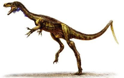 Reconstrucción de <i>Eodromaeus</i> (corredor del alba), pequeño dinosaurio descubierto en Argentina.