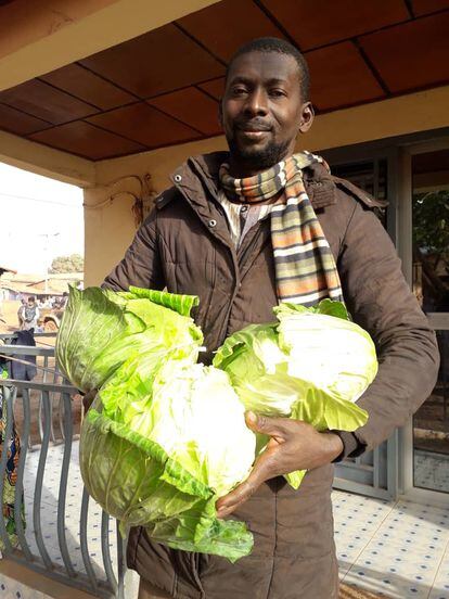 Ousmane Diallo, en su granja en Mandiana durante la cosecha de lechugas