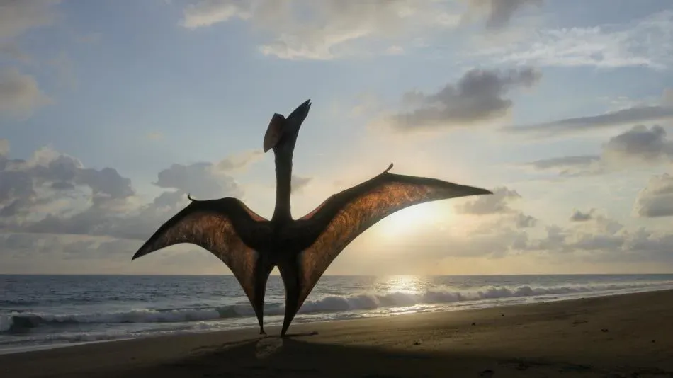 Un pterosaurio recreado en el documental 'Planeta Prehistórico'.