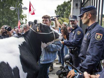 Manifestaci&oacute;n de ganaderos este jueves en Santiago.