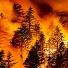 Monrovia (United States), 12/09/2020.- The Bobcat Fire progresses in the woods in the Angeles National Forest north of Monrovia, North East of Los Angeles, California, USA, 11 September 2020 (issued 12 September 2020). According to reports, the Creek Fire has burnt over 26,000 acres of forest. (Incendio, Estados Unidos) EFE/EPA/ETIENNE LAURENT