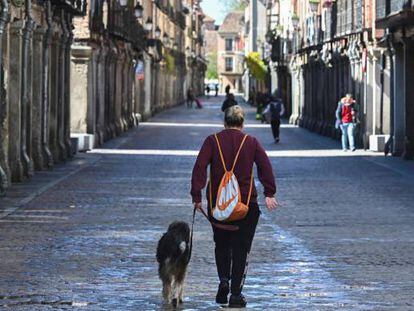 Un hombre pasea a su perro por una de las calles más comerciales de Alcalá de Henares (Madrid), ahora casi desierta.