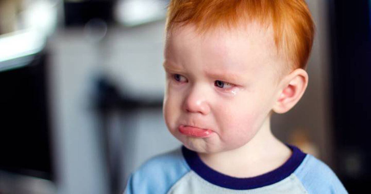 Pericia grande eximir Bebés que lloran mucho: cómo entender y gestionar su llanto | Mamas & Papas  | EL PAÍS