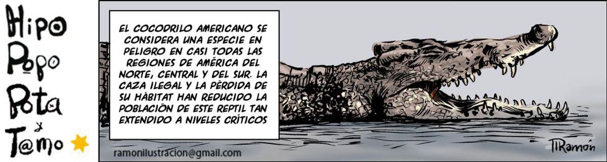 Ramón | Las Viñetas | Opinión | EL PAÍS