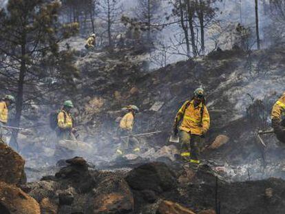 Miembros del Infoca trabajan en el área afectada por el incendio de Ojén.