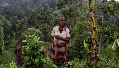 Una mujer labra la tierra en Ntenga, Tanzania.