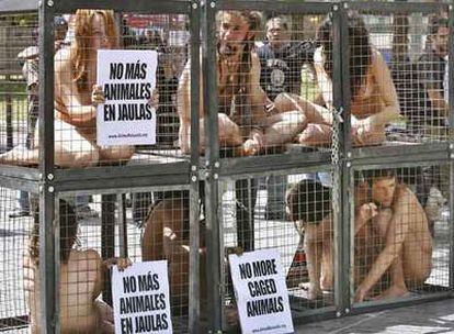 Activistas encerrados en jaulas en Barcelona