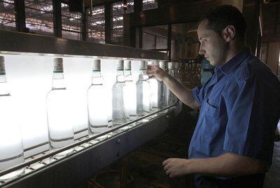 Botellas de chinchón en la cadena de producción de la fábrica madrileña antes de ser etiquetadas.
