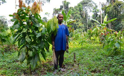 Pierre Djampene posa junto a uno de los árboles de cacao de su plantación