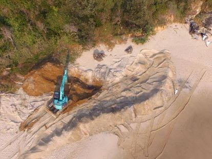 Tareas de exhumaci&oacute;n de la ballena jorobada en la playa de Nueva Gales del Sur.