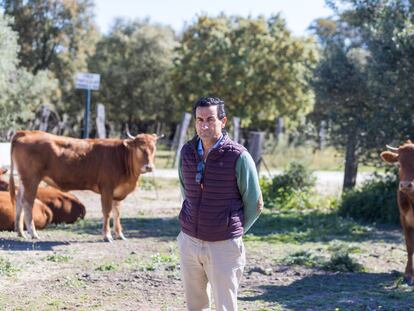 El agricultor y ganadero José Manuel Díez en su finca de Jerez de la Frontera, en Cádiz.
