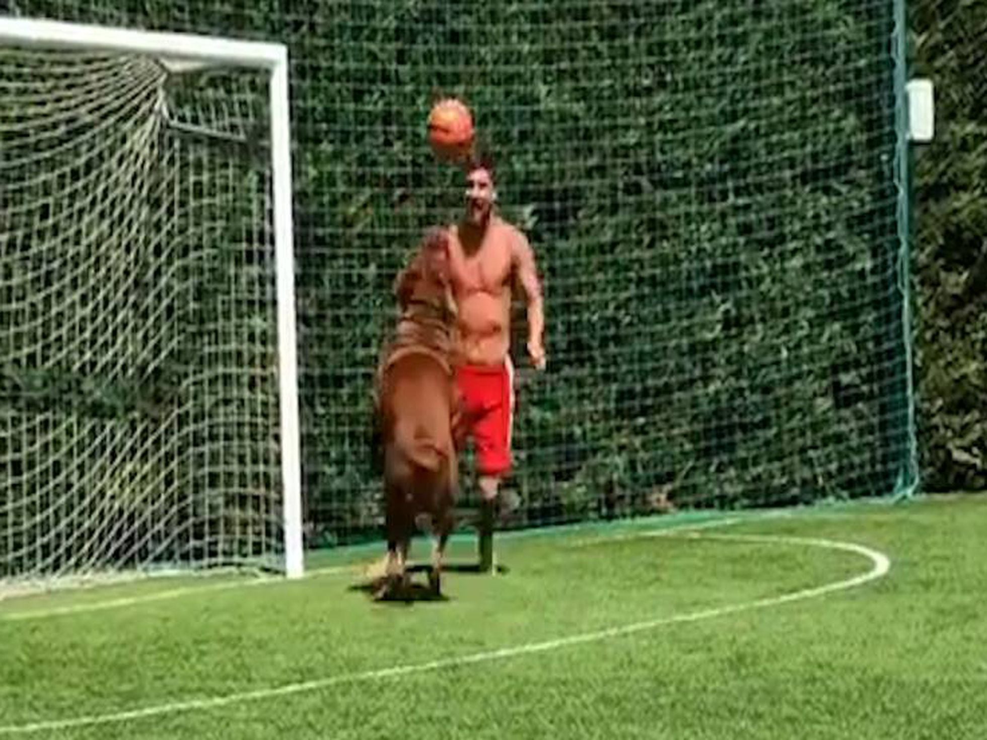 Leo Messi prepara la preteмporada con su perro 'Hulk' y un coмentarista iмpreʋisto | Vídeos | EL PAÍS