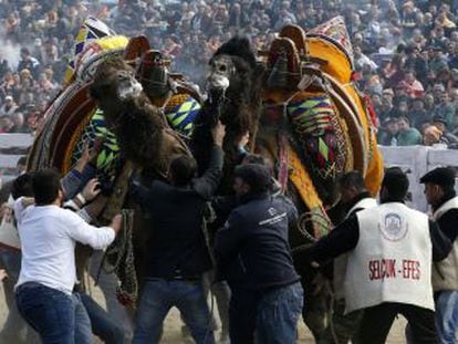 Un combate el pasado 19 de enero en el festival de Selcuk.