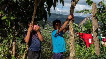 Dos niños en Chilón, Chiapas, que pasaron casi todo el año sin ir a la escuela y ayudando en las tareas del hogar tras los cierres de colegios por la pandemia de coronavirus.