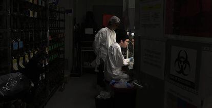 Dos investigadores en uno de los laboratorios del Centro de Biología Molecular Severo Ochoa.