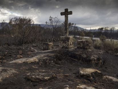 Terreno devastado tras el gran incendio de Cualedro (Ourense) en 2015.