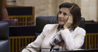 Mar&iacute;a Jos&eacute; S&aacute;nchez Rubio, consejera de Salud, en un pleno del Parlamento.