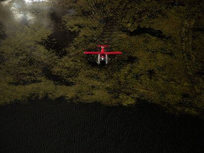 Una avioneta-taxi atraviesa el alga en un lago del sur de Alaska.