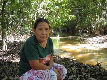 Rita, indígena piripkura en un rincón de su pueblo en el Mato Grosso.