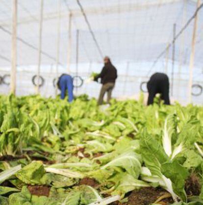 Agricultores en Villa del Prado (Madrid) .