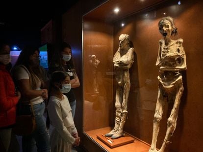 Los cuerpos están siendo analizados por investigadores del Instituto Nacional de Antropología de Historia (INAH)
